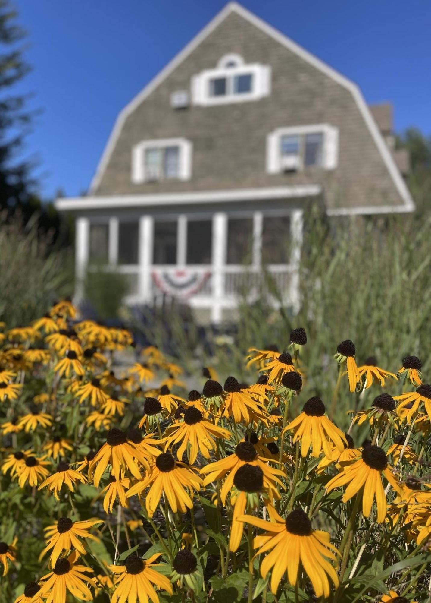 White Sails Inn Kennebunk Exterior photo